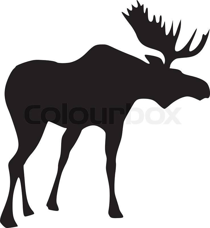 free baby moose clipart - photo #25