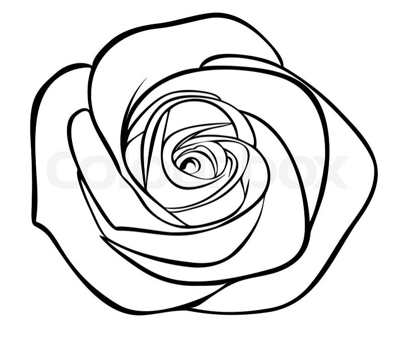 clipart rose outline - photo #14
